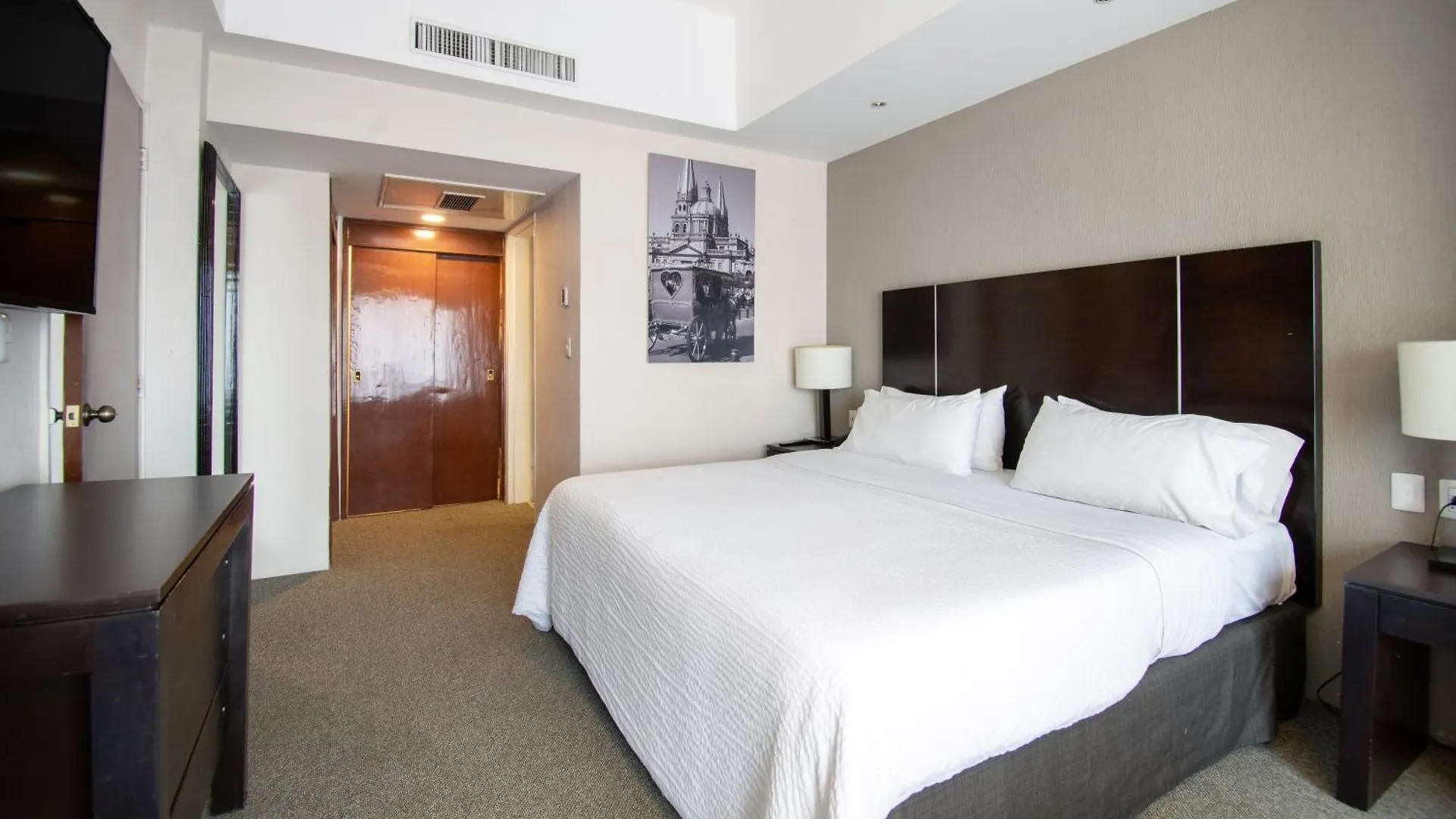 Hotel Plaza Genova Centro غوادالاجارا 4*,