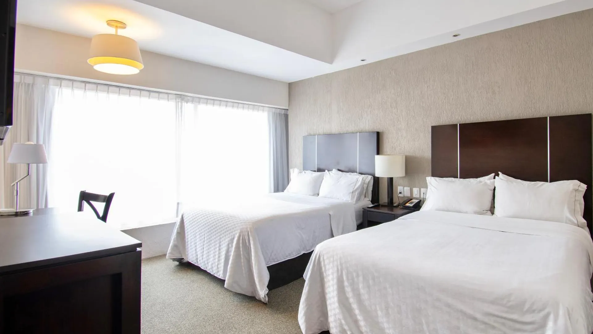 Hotel Plaza Genova Centro غوادالاجارا