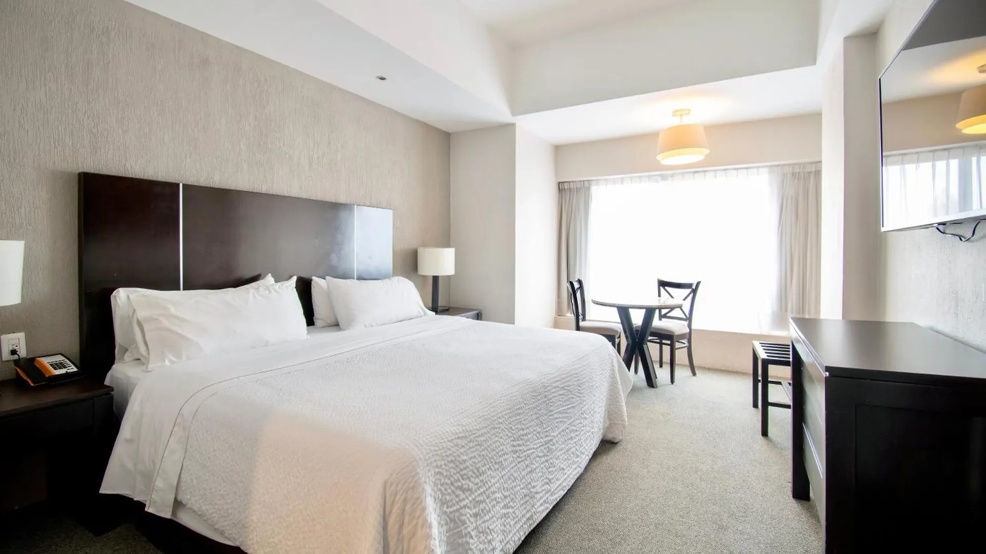 Hotel Plaza Genova Centro غوادالاجارا