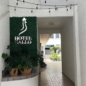 Hotel Gallo, Guadalajara